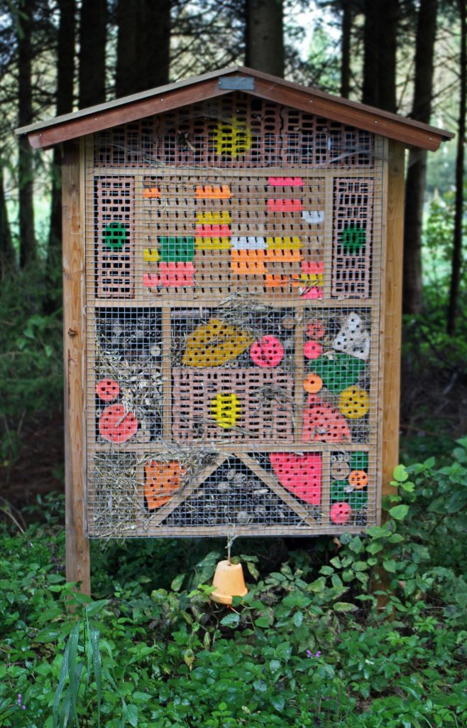 Do-It-Yourself: Insektenhotel für unter 50 Euro bauen
